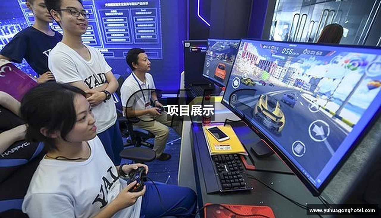 项目展示